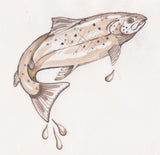 A fresh salmon from the 'Old Codger's Cookbook'