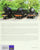Steaming in Your Garden